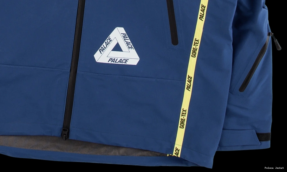 Affordable Palace Gore-Tex Palex Jacket 0721